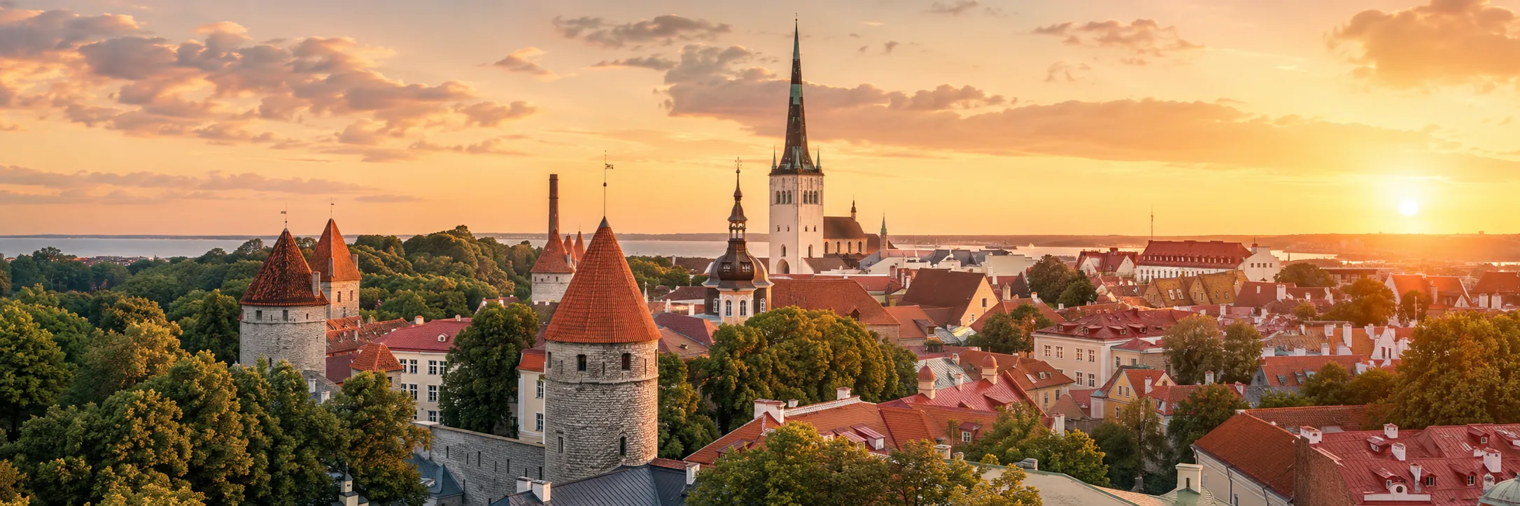 University study in Estonia